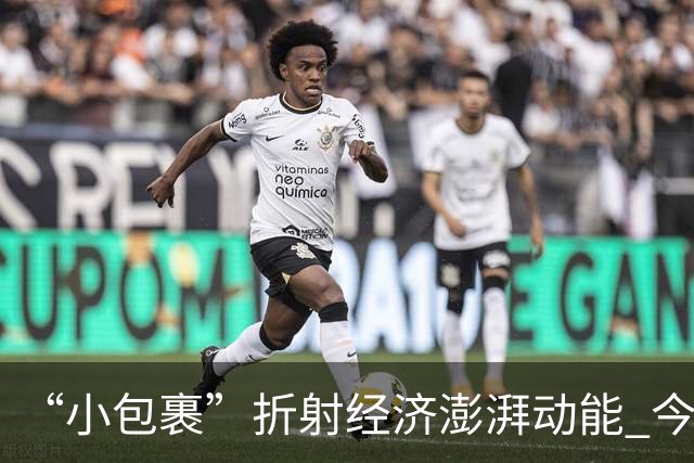 “小包裹”折射经济澎湃动能 今年前8个月邮政行业寄递业务量稳步攀升